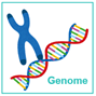 book intro genome icon