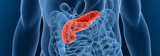 pancreas image