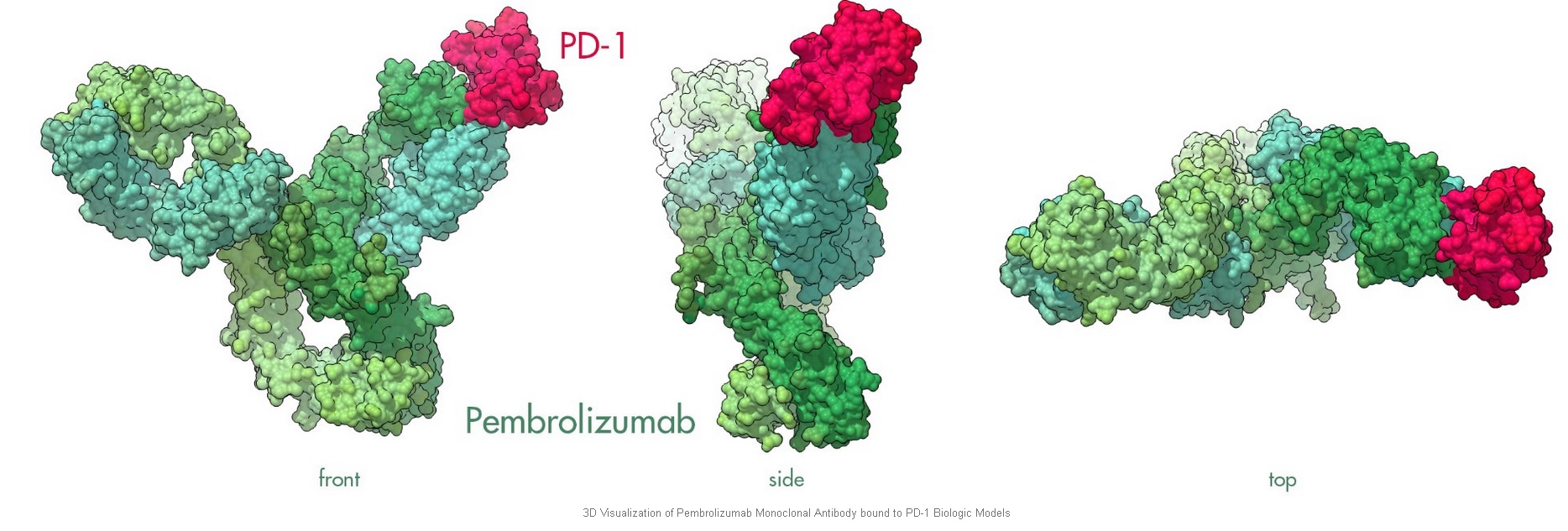 pembrolizmab molecular profile